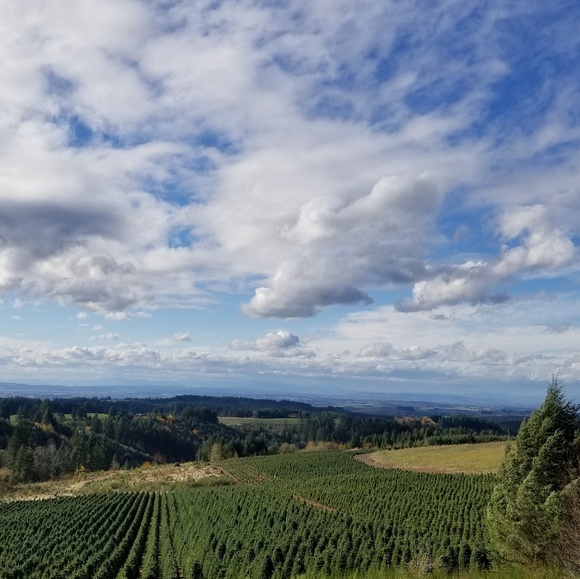 Meet your Posher, Jessica - Picture 5 of 8